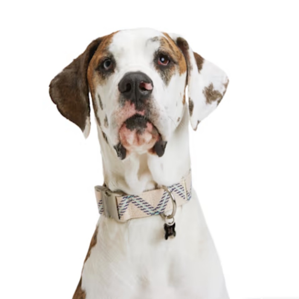 YOULY the avant-garde Geometric Print Dog Collar Blue Zig Zag XL/XXL/XXXL
